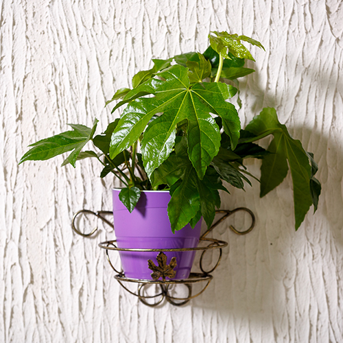 Кованая настенная подставка для цветов